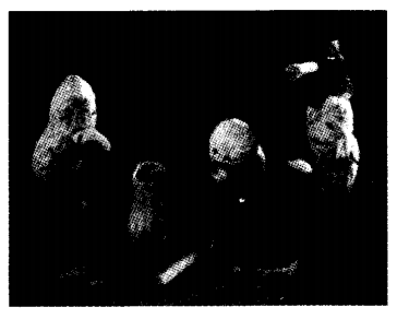 NCERT Solutions for Class 4 EVS Chapter 5 Anita And The Honeybees Page 44 Q12