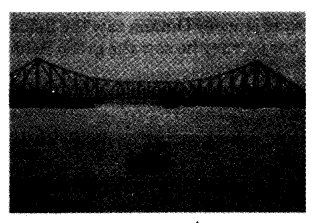 NCERT Solutions for Class 4 EVS Chapter 7 From The Window Page 57 Q3