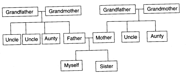 NCERT Solutions for Class 4 EVS Chapter 9 Changing Families Page 74 Q3
