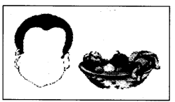 NCERT Solutions for Class 4 English Unit-6 Chapter 12 Fun Time Q1.1