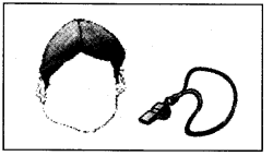 NCERT Solutions for Class 4 English Unit-6 Chapter 12 Fun Time Q1.2