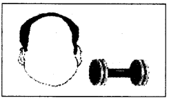 NCERT Solutions for Class 4 English Unit-6 Chapter 12 Fun Time Q1.4