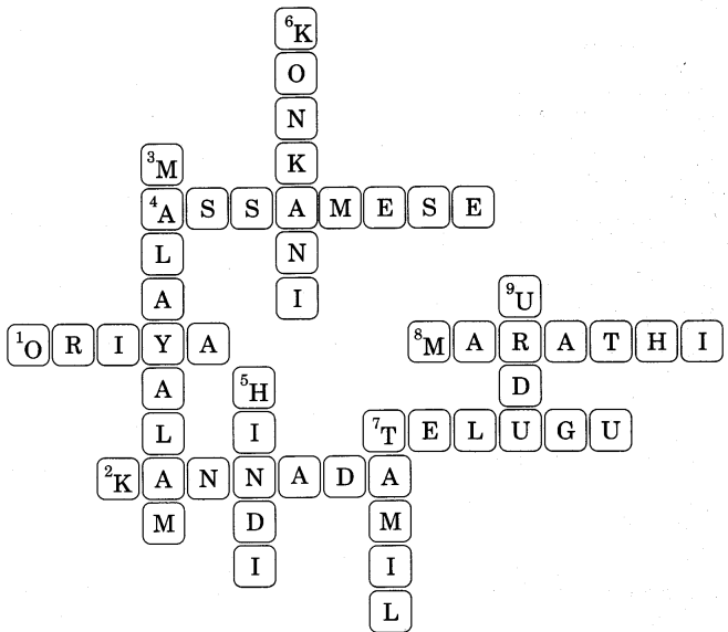 NCERT Solutions for Class 4 English Unit-7 Chapter 14 Crossword Fun