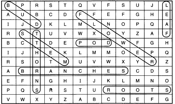 NCERT Solutions for Class 4 English Unit-8 Chapter 15 Fun Time