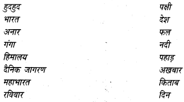 NCERT Solutions for Class 4 Hindi Chapter 13 हुदहुद 3