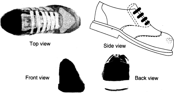 NCERT Solutions for Class 4 Mathematics Unit-5 The Way The World Looks Page 56 Q4
