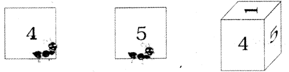 NCERT Solutions for Class 4 Mathematics Unit-5 The Way The World Looks Page 59 Q1