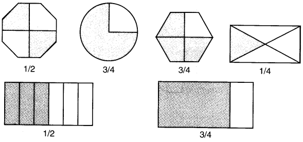 NCERT Solutions for Class 4 Mathematics Unit-9 Halves And Quarters Page 101 Q1.2
