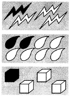 NCERT Solutions for Class 4 Mathematics Unit-9 Halves And Quarters Page 101 Q1.5