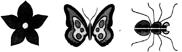 NCERT Solutions for Class 4 Mathematics Unit-9 Halves And Quarters Page 101 Q1.8