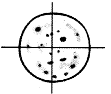 NCERT Solutions for Class 4 Mathematics Unit-9 Halves And Quarters Page 95 Q2