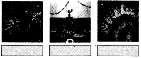 NCERT Solutions for Class 4 पर्यावरण अध्ययन Chapter 11 फुलवारी 11