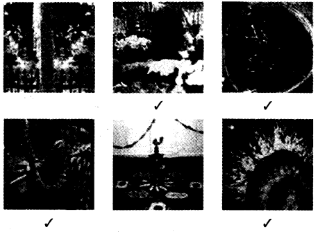 NCERT Solutions for Class 4 पर्यावरण अध्ययन Chapter 11 फुलवारी 12