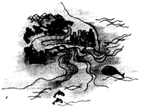NCERT Solutions for Class 4 पर्यावरण अध्ययन Chapter 13 पहाडों से समुंदर तक 2
