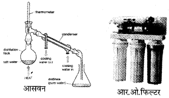 NCERT Solutions for Class 4 पर्यावरण अध्ययन Chapter 13 पहाडों से समुंदर तक 6