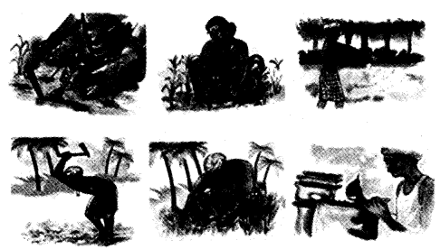 NCERT Solutions for Class 4 पर्यावरण अध्ययन Chapter 14 बसवा का खेत 3