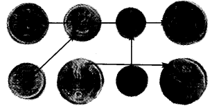NCERT Solutions for Class 4 पर्यावरण अध्ययन Chapter 24 दूर देश की बात 5