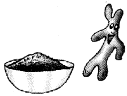 NCERT Solutions for Class 4 पर्यावरण अध्ययन Chapter 25 चटपटी पहेलियाँ 2