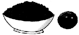 NCERT Solutions for Class 4 पर्यावरण अध्ययन Chapter 25 चटपटी पहेलियाँ 3