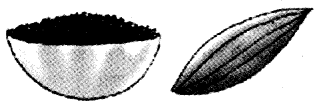 NCERT Solutions for Class 4 पर्यावरण अध्ययन Chapter 25 चटपटी पहेलियाँ 5