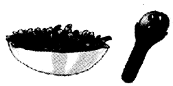 NCERT Solutions for Class 4 पर्यावरण अध्ययन Chapter 25 चटपटी पहेलियाँ 6
