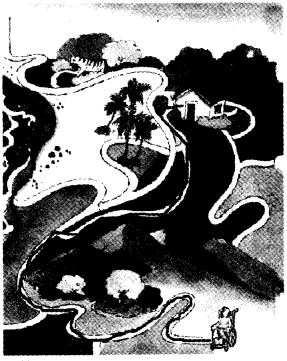NCERT Solutions for Class 4 पर्यावरण अध्ययन Chapter 27 कोशिश हुई कामयाब 4
