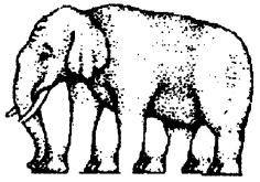 NCERT Solutions for Class 4 पर्यावरण अध्ययन Chapter 3 नन्दू हाथी 4