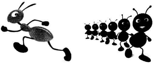 NCERT Solutions for Class 4 पर्यावरण अध्ययन Chapter 5 अनीता की मधुमक्खियाँ 4