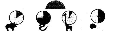 NCERT Solutions for Class 5 EVS Chapter 1 Super Senses Sleep Waking Q3