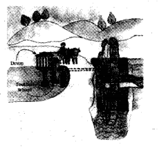 NCERT Solutions for Class 5 EVS Chapter 10 Walls Tell Stories Arrangements for Water Q1