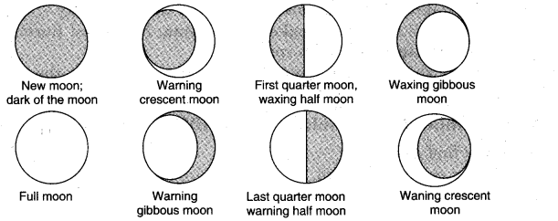 NCERT Solutions for Class 5 EVS Chapter 11 Sunita In Space Think