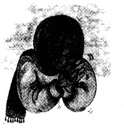 NCERT Solutions for Class 5 EVS Chapter 15 Blow Hot, Blow Cold Think and Tell Q7