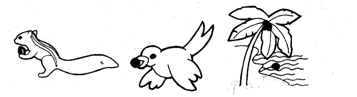 NCERT Solutions for Class 5 EVS Chapter 5 Seeds And Seeds Make List of Q12