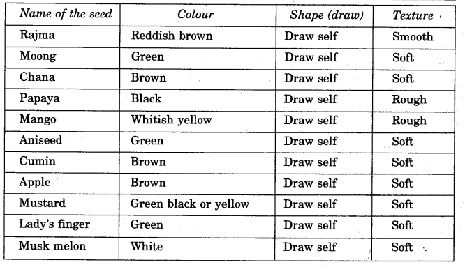 NCERT Solutions for Class 5 EVS Chapter 5 Seeds And Seeds So many Seeds Q1.1