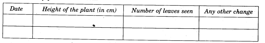 NCERT Solutions for Class 5 EVS Chapter 5 Seeds And Seeds Write Q1