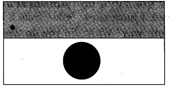 NCERT Solutions for Class 5 EVS Chapter 9 Up You Go! Think Q4