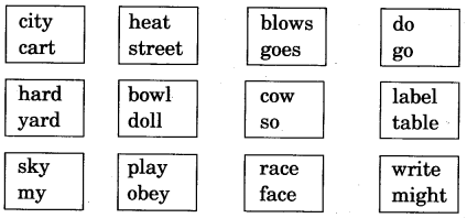NCERT-Solutions-for-Class-5-English-Unit-1-Chapter-1-Ice-Cream-Man-1