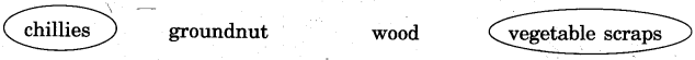 NCERT-Solutions-for-Class-5-English-Unit-1-Chapter-2-Wonderful-Waste-1
