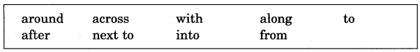 NCERT Solutions for Class 5 English Unit 2 Chapter 2 Flying Together 4