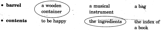 NCERT Solutions for Class 5 English Unit 5 Chapter 2 Rip Van Winkle 2