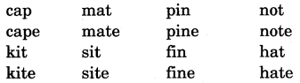 NCERT Solutions for Class 5 English Unit 9 Chapter 2 Around The World 6