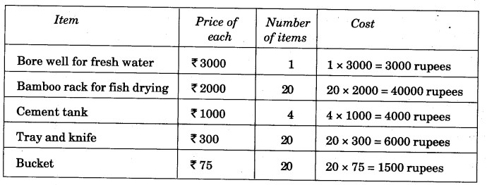 NCERT Solutions for Class 5 Maths Chapter-1 The Fish Tale Page 13 Q1.1