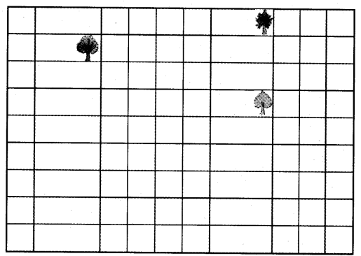 NCERT Solutions for Class 5 Maths Chapter 11 Area and Its Boundary Page 152 Q1