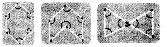 NCERT Solutions for Class 5 Maths Chapter 2 Shapes And Angles Page 16 Q2e