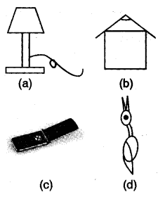 NCERT Solutions for Class 5 Maths Chapter 2 Shapes And Angles Page 21 Q2.1