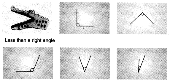 NCERT Solutions for Class 5 Maths Chapter 2 Shapes And Angles Page 21 Q2