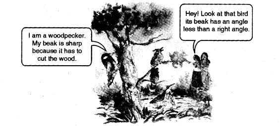 NCERT Solutions for Class 5 Maths Chapter 2 Shapes And Angles Page 24 Q1