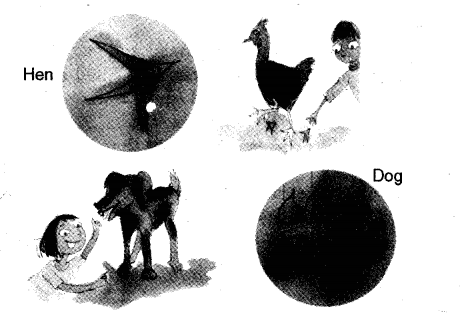 NCERT Solutions for Class 5 Maths Chapter 3 How Many Squares Page 38 Q1