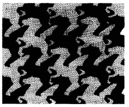 NCERT Solutions for Class 5 Maths Chapter 3 How Many Squares Page 48 Q1