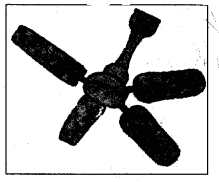 NCERT Solutions for Class 5 Maths Chapter 4 Parts And Wholes Page 65 Q3.1